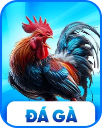 Đá gà kịch tính